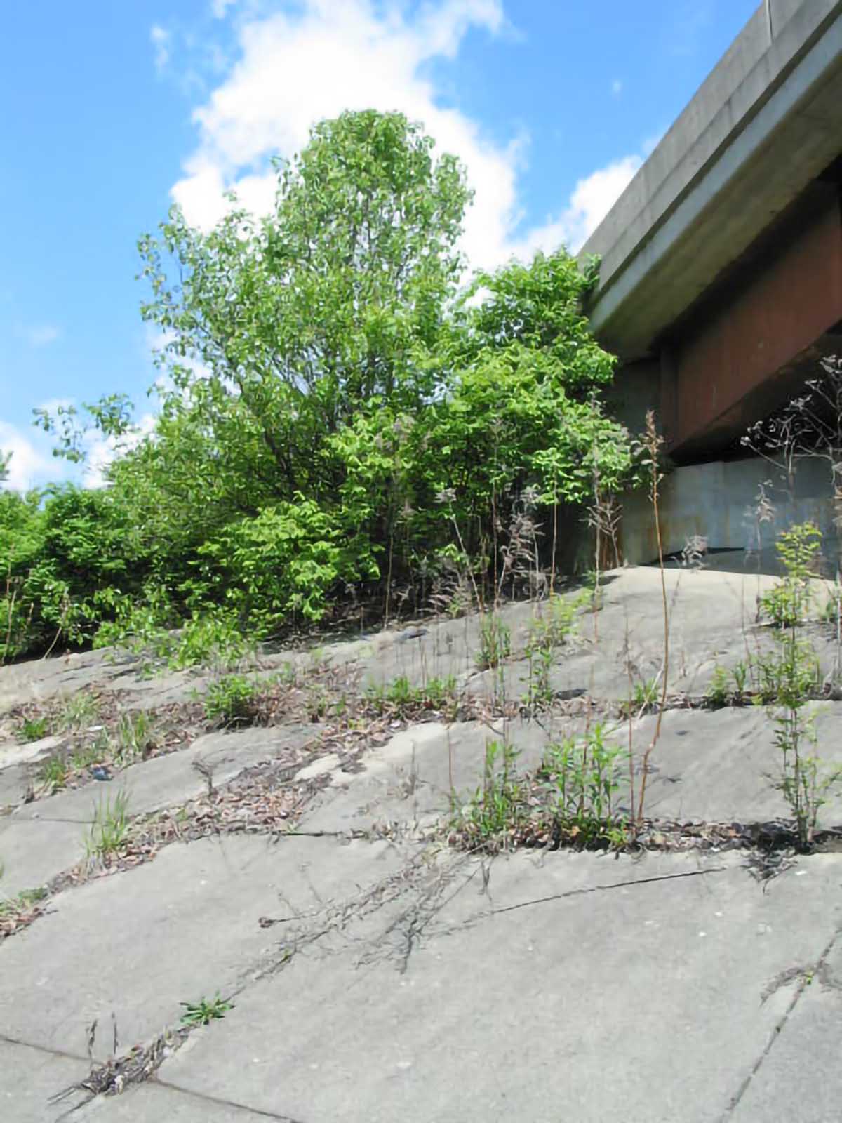 Michael Sweeny // Sun, May 9, 2021, 3:20 PM (EST)