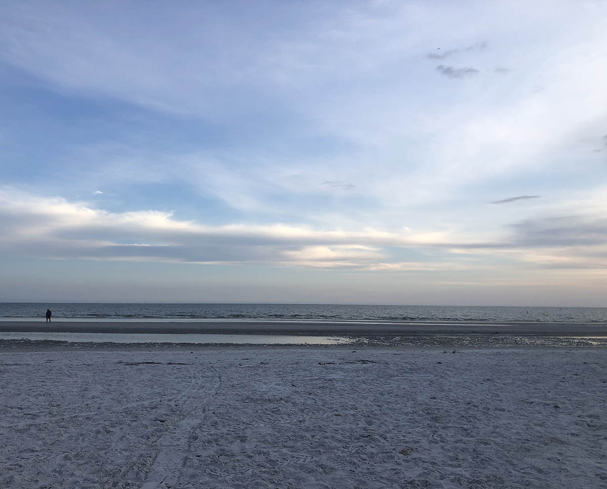 Ellis Johnson // Wed, May 12, 2021, 12:31 PM (EST)