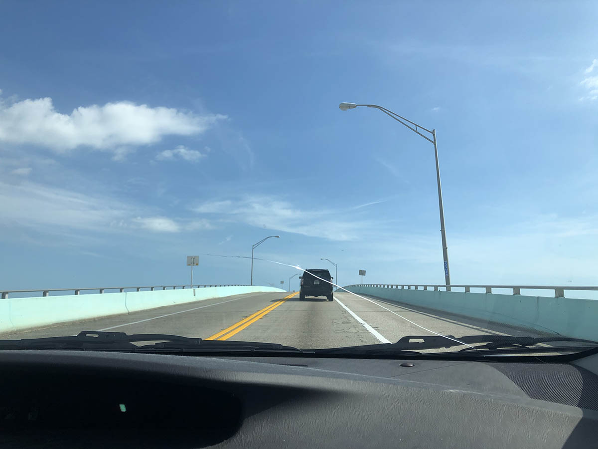 Ellis Johnson // Wed, May 12, 2021, 12:31 PM (EST)